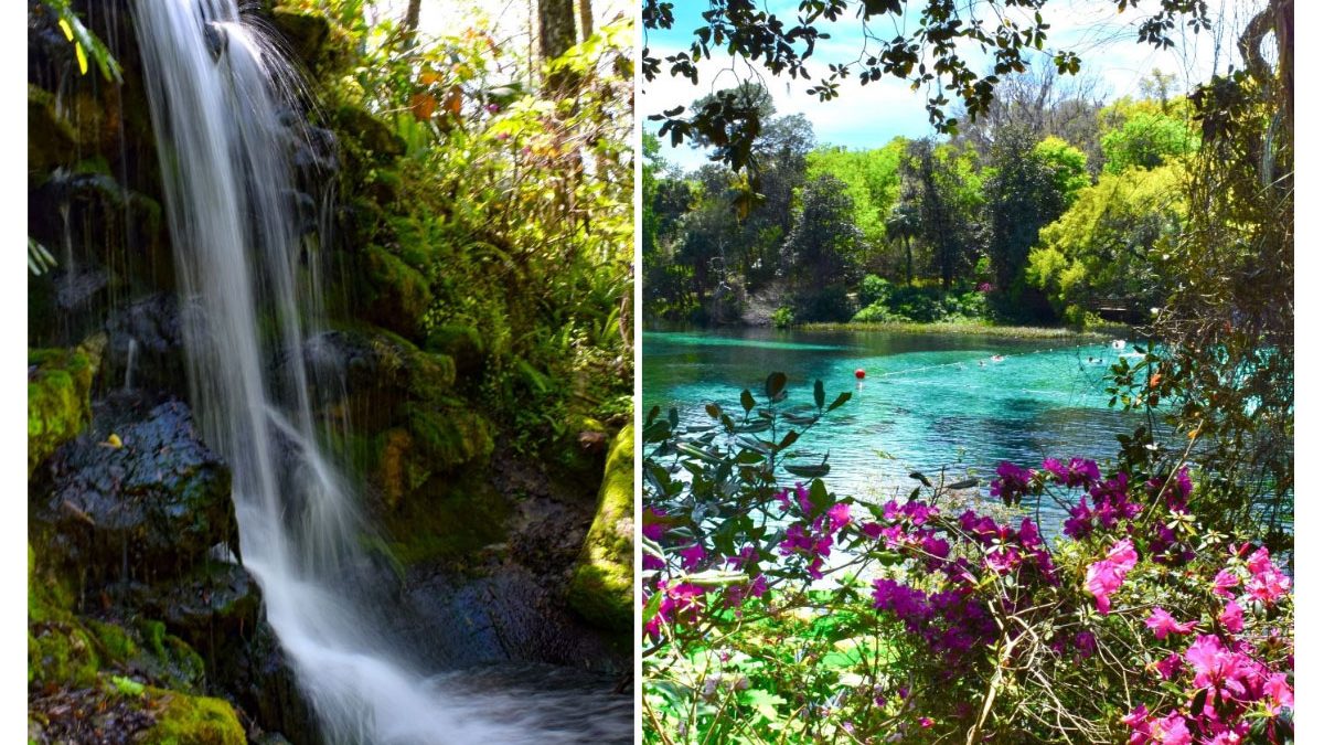 To Florida’s Rainbow Springs State Park